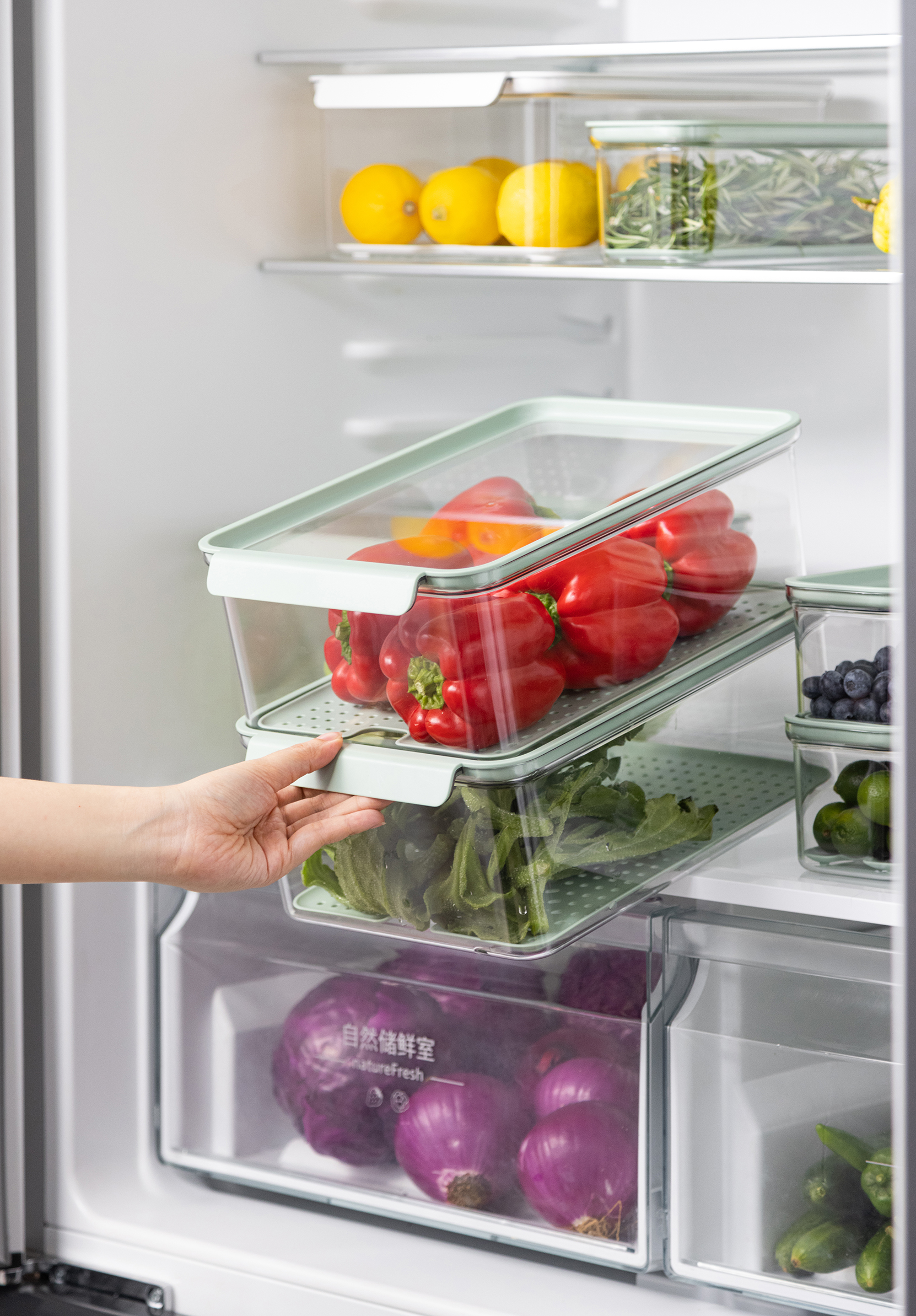 Fridge storage container 6000mL