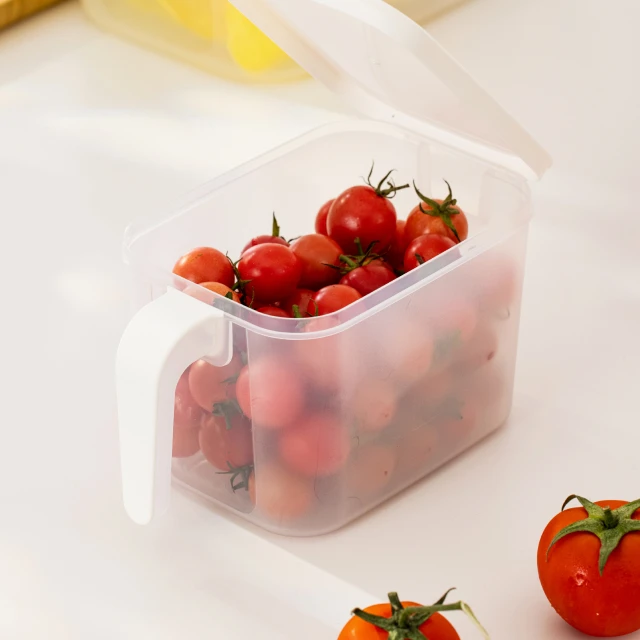 Meal Prep & Fresh Container